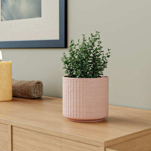 Pink Fringe Ceramic Planter - The Earth Store - Planter